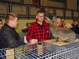 Największa w Polsce wystawa królików i drobnego inwentarza za nami